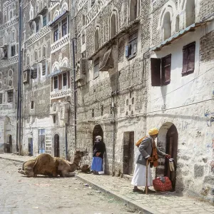 2 men and a camel in the old town of Sanaa, UNESCO World Heritage Site, Sanaa, Yemen, Asia