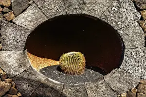 2016, Guatiza, Lanzarote, Jardin de Cactus by Cesar Manrique