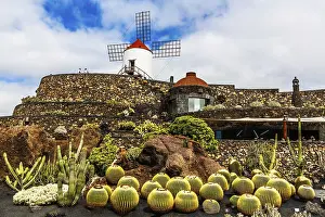 2016, Guatiza, Lanzarote, Jardin de Cactus by Cesar Manrique