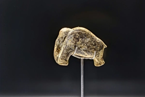 40, 000-year-old animal figurine