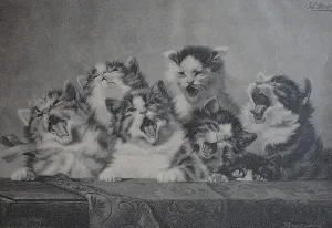 6 Young Cats Yawning, Tired Kittens
