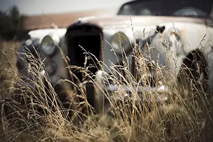 Framed Print : Abandoned vintage Jaguar car partially hidden in tall grass