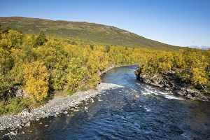 Category Scandinavia Prints: Abiskojokk river in autumnal landscape