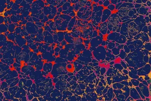 Abstract creative marbling pattern for fabric