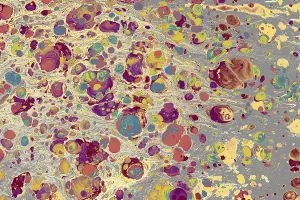 Abstract creative marbling pattern for fabric