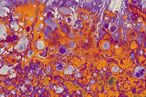 Category Historic EN Prints: Abstract marbling art patterns as background