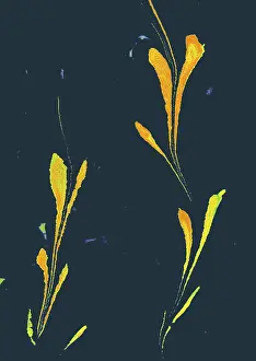 Abstract marbling floral pattern for fabric