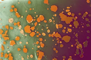 Abstract marbling pattern for fabric