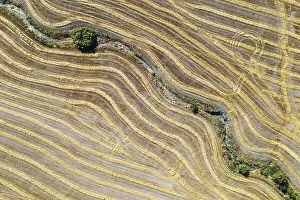 Abstract patterns in cornfield after wheat harvest