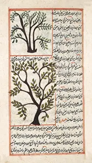 Abu Yahya Zakariya ibn Muhammad al-Qazwini