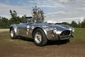 AC Cobra 289
