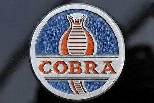 AC Cobra logo, wordmark with the image of a cobra