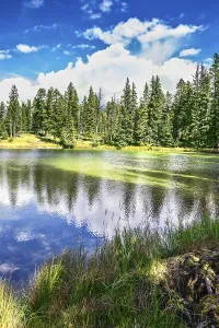 Adorable round lake. Coniferous forest is reflected in the mirrored water of lake