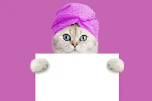 Adorable white cat in a towel on his head