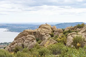 An adult Spanish ibex on rugged boulders overlooking sprawling landscapes