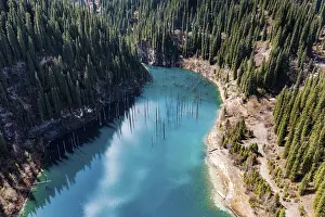 Aerial of the Kaindy lake with its dead trees