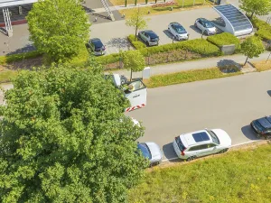 Aerial perspective of cars and trees along a road