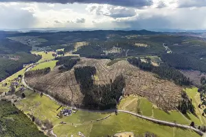 Aerial photo, forest damage in the forest area Berg Ebschloh