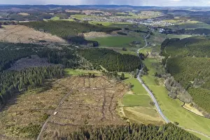 Aerial photo, forest damage in the forest area Berg Ebschloh