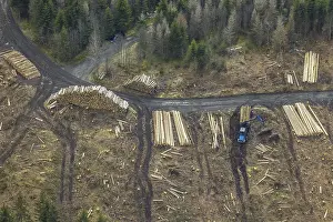 Aerial photo, forest damage in the forest area Berg Ebschloh