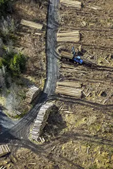 Aerial photo, forest damage in the forest area Berg Ebschloh