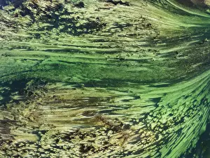 Aerial photograph, top-down view of flow lines