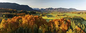 Aerial view of autumnal coloured trees in front of mountains in the morning light