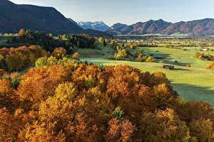 Aerial view of autumnal coloured trees in front of mountains in the morning light