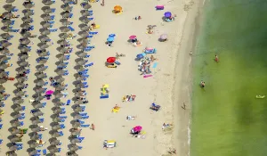 Aerial view, beach life with sun loungers and parasols