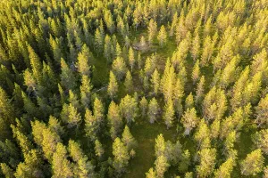 Aerial view, bird's eye view