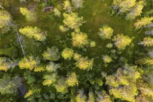 Aerial view, bird's eye view