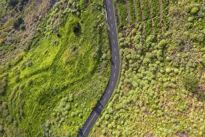 Aerial view, country road from above