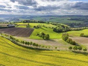 Framed Print : Aerial view, drone photo: Blooming rapeseed field