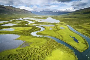 Aerial view, drone shot, meandering river landscape of the Rapa Valley near Nikkaluokta