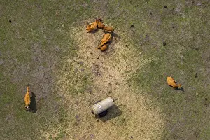 Aerial view, equestrian center