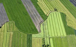 Aerial view of the field landscape