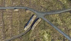 Aerial view, forest damage in the forest area Berg Ebschloh