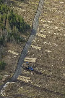 Aerial view, forest damage in the forest area Berg Ebschloh