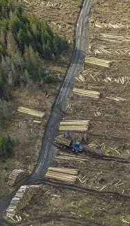 Aerial view, forest damage in the forest area Berg Ebschloh
