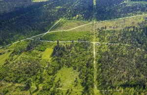 Aerial view, forest pastures Wistinghauser Senne nature reserve