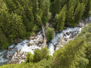 Aerial view of a forest with a river and a narrow wooden bridge surrounded by trees