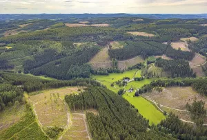 Aerial view, Homrighausen forester's lodge