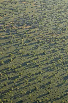 Aerial view, landscape in morning light