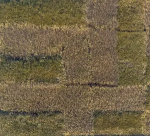 Aerial view, lawn, near airport