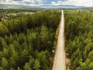 Aerial view of a long road through thick