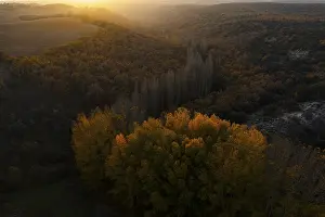 An aerial view of a lush landscape