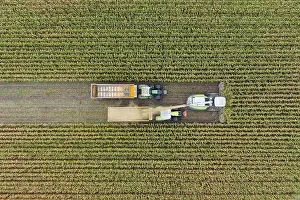 Aerial view, maize chopper and tractor with trailer at the maize harvest