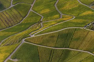 Aerial view, Moselle wine region