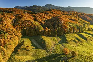 Aerial view of a mountain forest in front of mountains in autumn