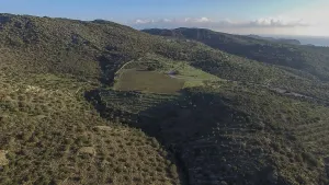 Aerial view of the olive groves of cape de creus
